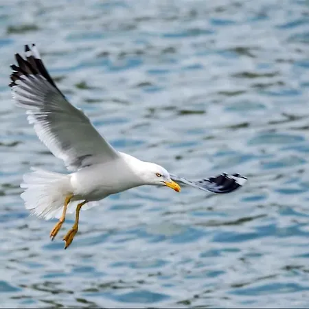 In - Insel 41722 아파트 비르